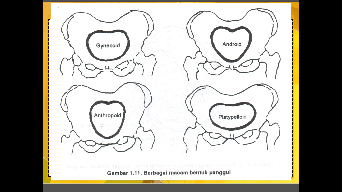 Glimepiride Hexpharm 2 Mg 